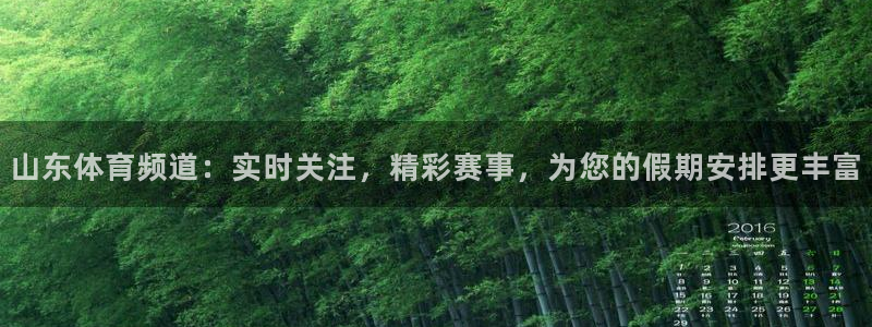 山东体育频道：实时关注，精彩赛事，为您的假期安排更丰富