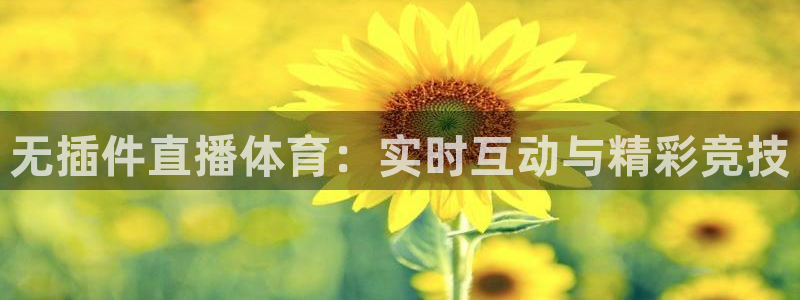 无插件直播体育：实时互动与精彩竞技