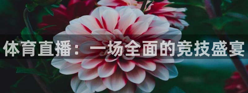体育直播：一场全面的竞技盛宴