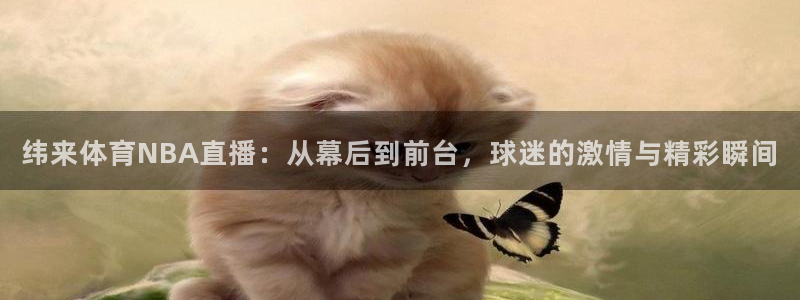 纬来体育NBA直播：从幕后到前台，球迷的激情与精彩瞬间