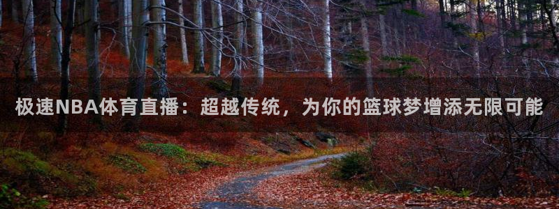 极速NBA体育直播：超越传统，为你的篮球梦增添无限可能