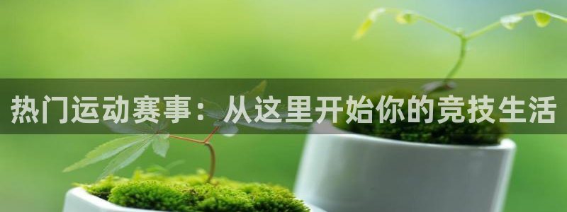 热门运动赛事：从这里开始你的竞技生活