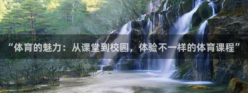 “体育的魅力：从课堂到校园，体验不一样的体育课程”