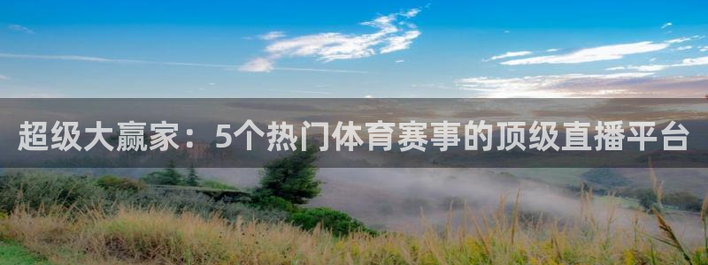 超级大赢家：5个热门体育赛事的顶级直播平台