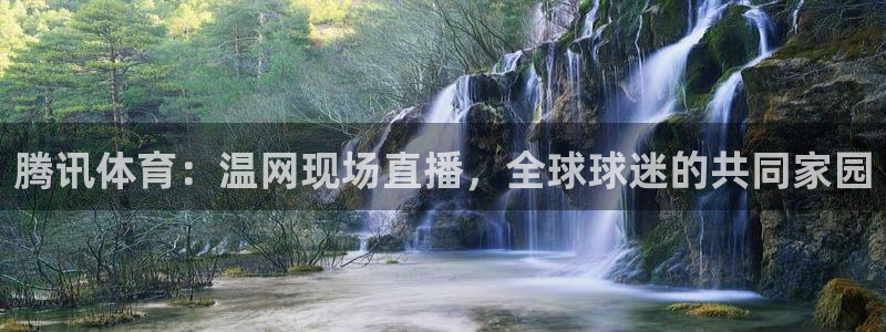 腾讯体育：温网现场直播，全球球迷的共同家园
