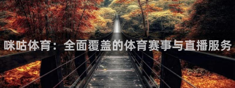 咪咕体育：全面覆盖的体育赛事与直播服务