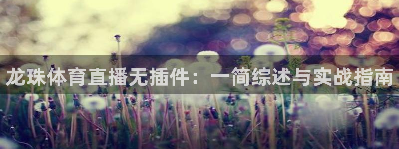 龙珠体育直播无插件：一简综述与实战指南